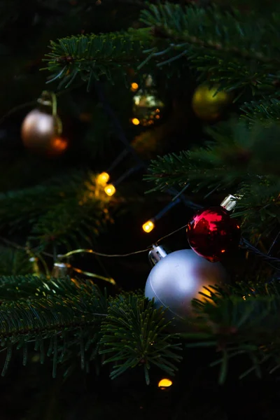 Branches Arbre Noël Décorées Dans Sud Allemagne Avent Décembre Mois — Photo