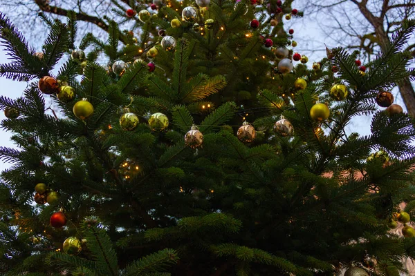 南ドイツのアドベントの青い空のクリスマス_ツリー装飾 — ストック写真