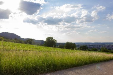 emtpy road, Güney Alman bahar çayırda
