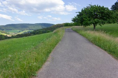 emtpy road, Güney Alman bahar çayırda