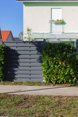 Modern gri ahşap bahçe çiti, sonbahar açık bahçe bitkileri