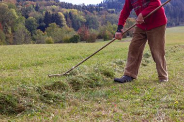 çim Ekim burada Güz ay Güney Almanya kırsal kesimde yan yatan eski üst düzey çiftçi