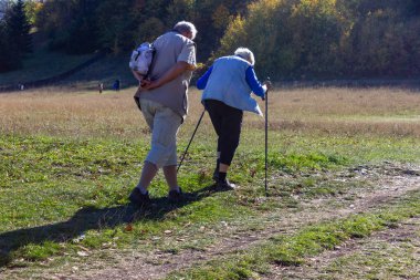 üst düzey çift açık baston ile sonbahar Ekim Güney Almanya'da egzersiz