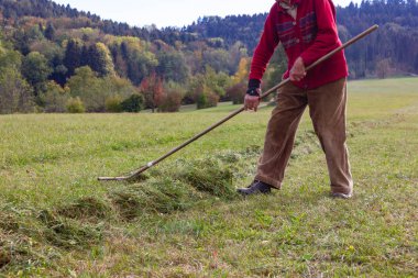 çim Ekim burada Güz ay Güney Almanya kırsal kesimde yan yatan eski üst düzey çiftçi