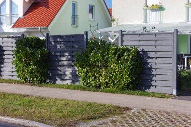 Modern gri ahşap bahçe çiti, sonbahar açık bahçe bitkileri