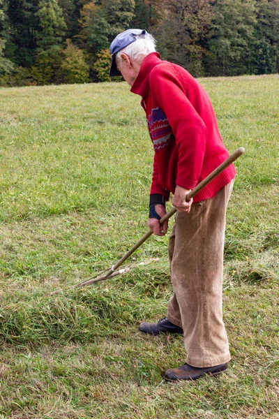çim Ekim burada Güz ay Güney Almanya kırsal kesimde yan yatan eski üst düzey çiftçi