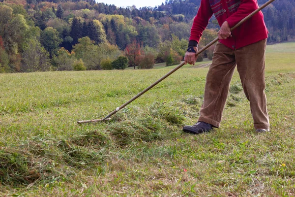 çim Ekim burada Güz ay Güney Almanya kırsal kesimde yan yatan eski üst düzey çiftçi