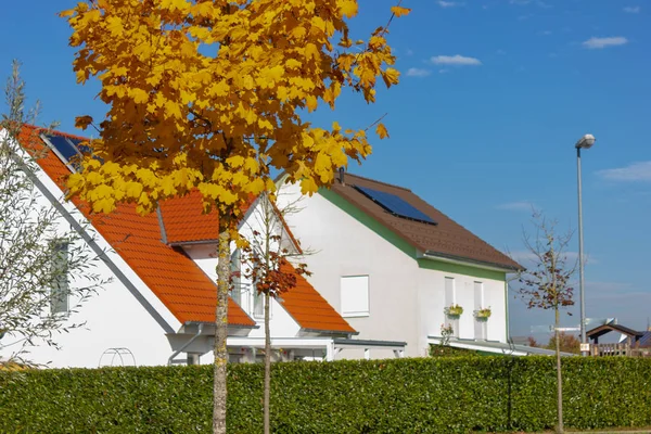 sonbahar turuncu yaprak üzerinde mavi gökyüzü, tek ağaç düşmek Bavyera Güney Almanya'da öğleden sonra