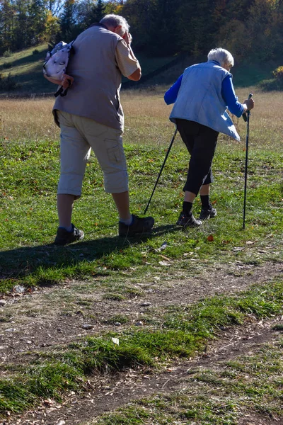 üst düzey çift açık baston ile sonbahar Ekim Güney Almanya'da egzersiz