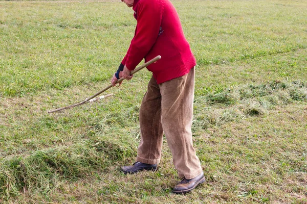 çim Ekim burada Güz ay Güney Almanya kırsal kesimde yan yatan eski üst düzey çiftçi