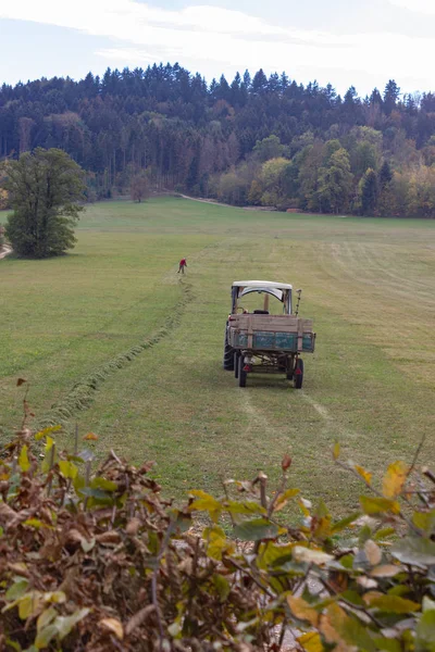 Traktor Und Alter Landwirt Harken Rasen Herbstmonat Oktober Süddeutschland — Stockfoto