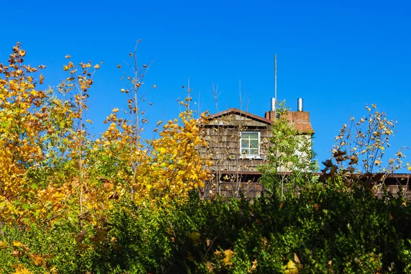 Fachada Casa Madera Hojas Coloridas Del Árbol Del Otoño Cielo — Foto de Stock