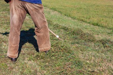 yakın üst düzey çiftçi Güney Almanya sonbahar çimleri ve mavi gökyüzü güneş ışığı yan yatan bak