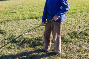 yakın üst düzey çiftçi Güney Almanya sonbahar çimleri ve mavi gökyüzü güneş ışığı yan yatan bak