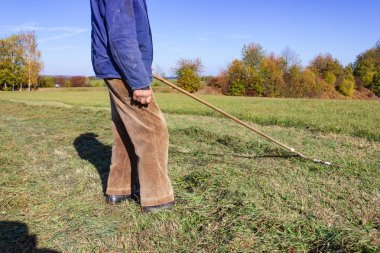 yakın üst düzey çiftçi Güney Almanya sonbahar çimleri ve mavi gökyüzü güneş ışığı yan yatan bak