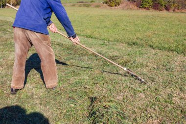 yakın üst düzey çiftçi Güney Almanya sonbahar çimleri ve mavi gökyüzü güneş ışığı yan yatan bak