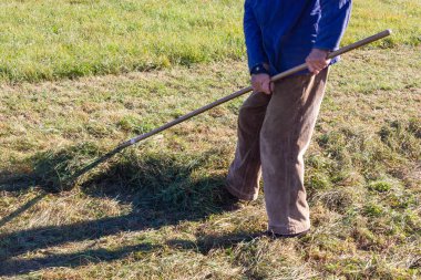 yakın üst düzey çiftçi Güney Almanya sonbahar çimleri ve mavi gökyüzü güneş ışığı yan yatan bak