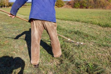 yakın üst düzey çiftçi Güney Almanya sonbahar çimleri ve mavi gökyüzü güneş ışığı yan yatan bak