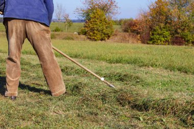 yakın üst düzey çiftçi Güney Almanya sonbahar çimleri ve mavi gökyüzü güneş ışığı yan yatan bak