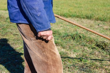 yakın üst düzey çiftçi Güney Almanya sonbahar çimleri ve mavi gökyüzü güneş ışığı yan yatan bak