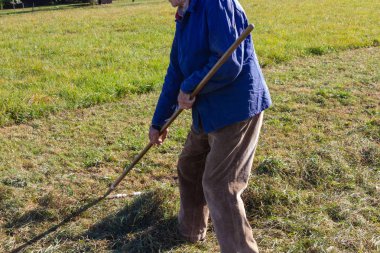 yakın üst düzey çiftçi Güney Almanya sonbahar çimleri ve mavi gökyüzü güneş ışığı yan yatan bak