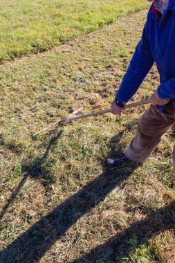 yakın üst düzey çiftçi Güney Almanya sonbahar çimleri ve mavi gökyüzü güneş ışığı yan yatan bak