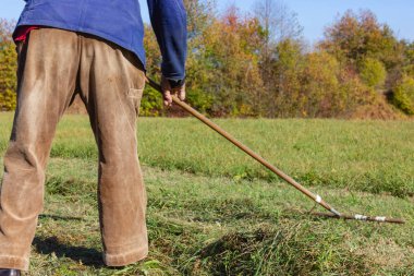 yakın üst düzey çiftçi Güney Almanya sonbahar çimleri ve mavi gökyüzü güneş ışığı yan yatan bak