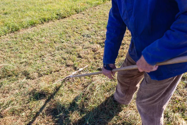 Close Look Senior Farmer Raking South Germany Autumn Lawn Blue — Stock Photo, Image