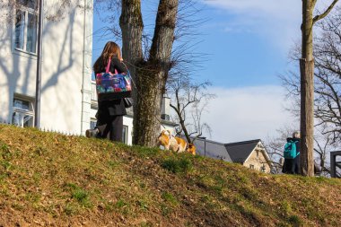 genç kadın ile köpek yürüyüş