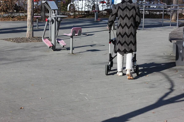 Äldre dam med rollator — Stockfoto