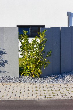 yeşil çalılar ile modern ev Binası 