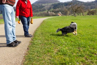 insanlar güney Almanya güneşli öğleden sonra bikeway yakınında bahar ay nisan yeşil çim kendi köpek ile oynamak