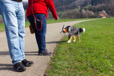 insanlar güney Almanya güneşli öğleden sonra bikeway yakınında bahar ay nisan yeşil çim kendi köpek ile oynamak
