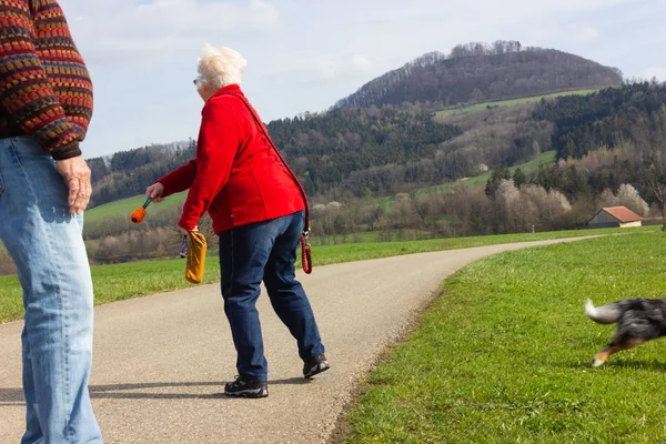 Menschen Spielen Mit Ihrem Hund Auf Frühlingshaftem April Grünen Rasen — Stockfoto