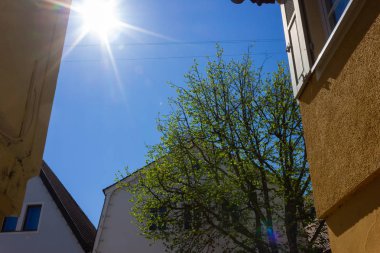 güney Almanya'da tarihi şehrin pazar yerinde renkli şehir cepheleri üzerinde güneş ışını ile taze yeşil yapraklar ağaç