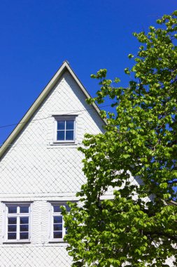 beyaz şehir cepheleri üzerinde taze yeşil yapraklar ağaç güney Almanya'da tarihi şehrin mavi bir gökyüzü