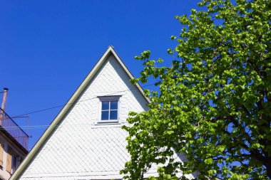 beyaz şehir cepheleri üzerinde taze yeşil yapraklar ağaç güney Almanya'da tarihi şehrin mavi bir gökyüzü