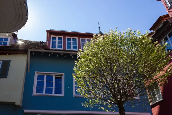 Świeże Zielone Liście Drzewo Sunbeam Kolorowych Fasad Miejskich Rynku Historycznego — Zdjęcie stockowe