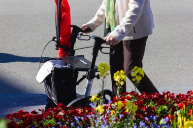 çiçek çiçeği ile şehir parkı rollator ile bayan