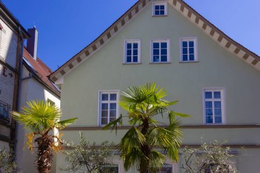 tarihi şehir cephesi önce palmtree