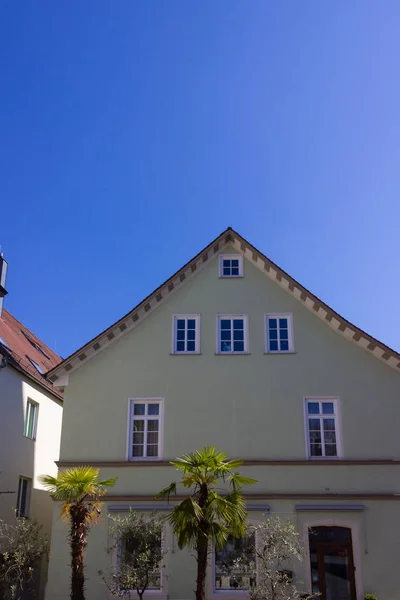 Palme vor historischer Stadtfassade — Stockfoto