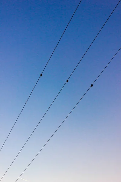 彩色日落的电线杆 — 图库照片
