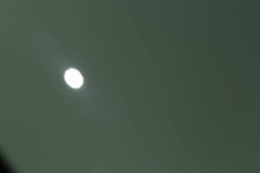 bulanık volkswagen böceği