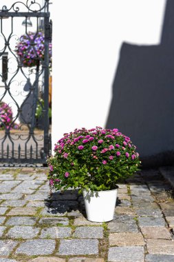 Alman bahçe restoranında saksı