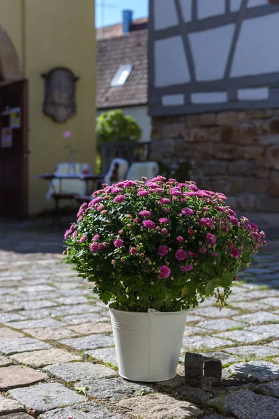 Pot de fleurs dans le restaurant de jardin allemand — Photo