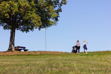 İnsanlar ufukta çimlerde yürür