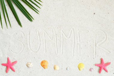 Plaj arka plan ilham. Üstten görünüm plaj kum ile Hindistan cevizi yaprakları, deniz yıldızı ve kabukları. Yaz arka plan kavramı.