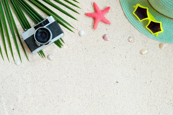 Пляжний Фон Вид Зверху Пляжний Пісок Кокосовим Листям Камерою Мушлями — стокове фото
