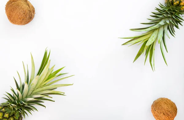 Tropikal meyve kavramı. Ananas ve beyaz zemin üzerine Hindistan cevizi. Yaratıcı düz yatıyordu, üstten görünüm tasarımı
