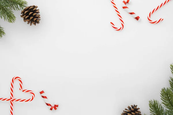 Noel ve yeni yıl arka plan. Köknar yapılan Noel çerçeve yaprakları, beyaz arka plan üzerinde çam koni ve şeker kamışı. Yaratıcı düz yatıyordu, üstten görünüm tasarımı